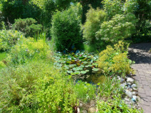 Garten
