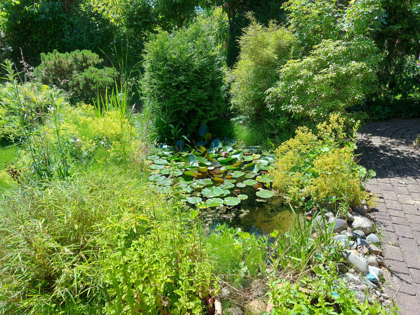 Garten